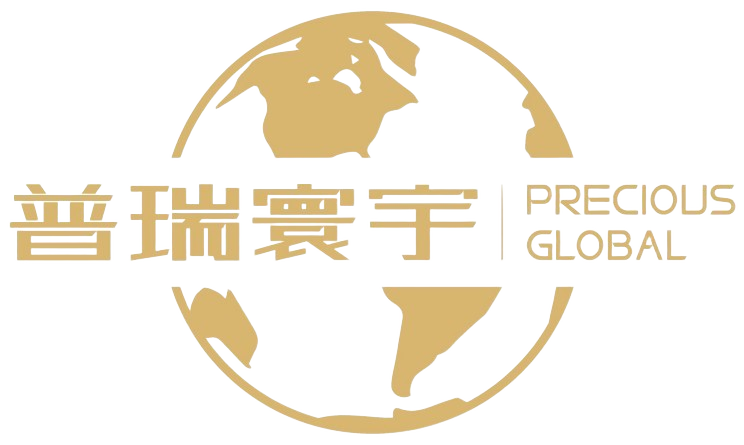 Precious Global Logo
